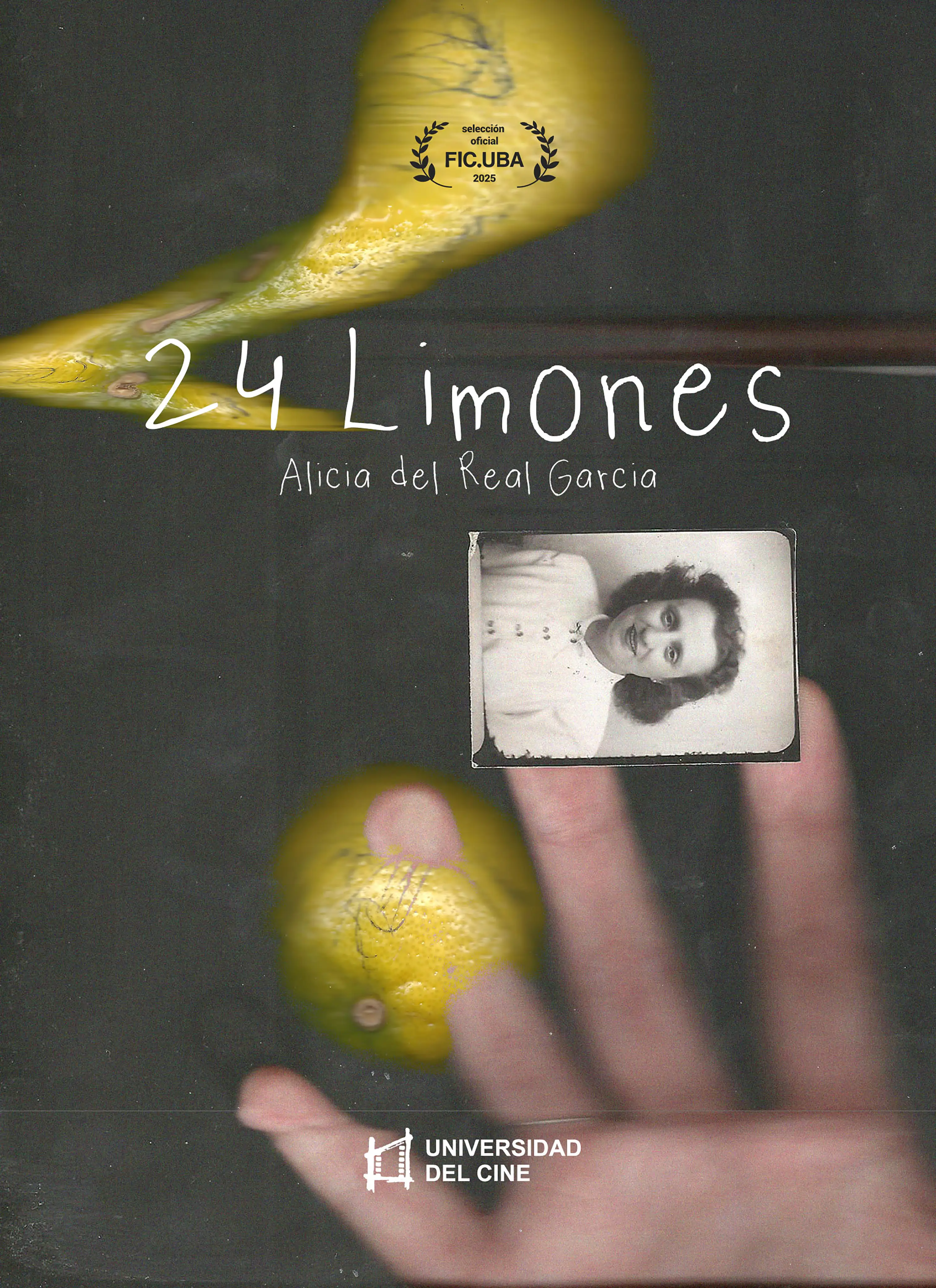 24 limones