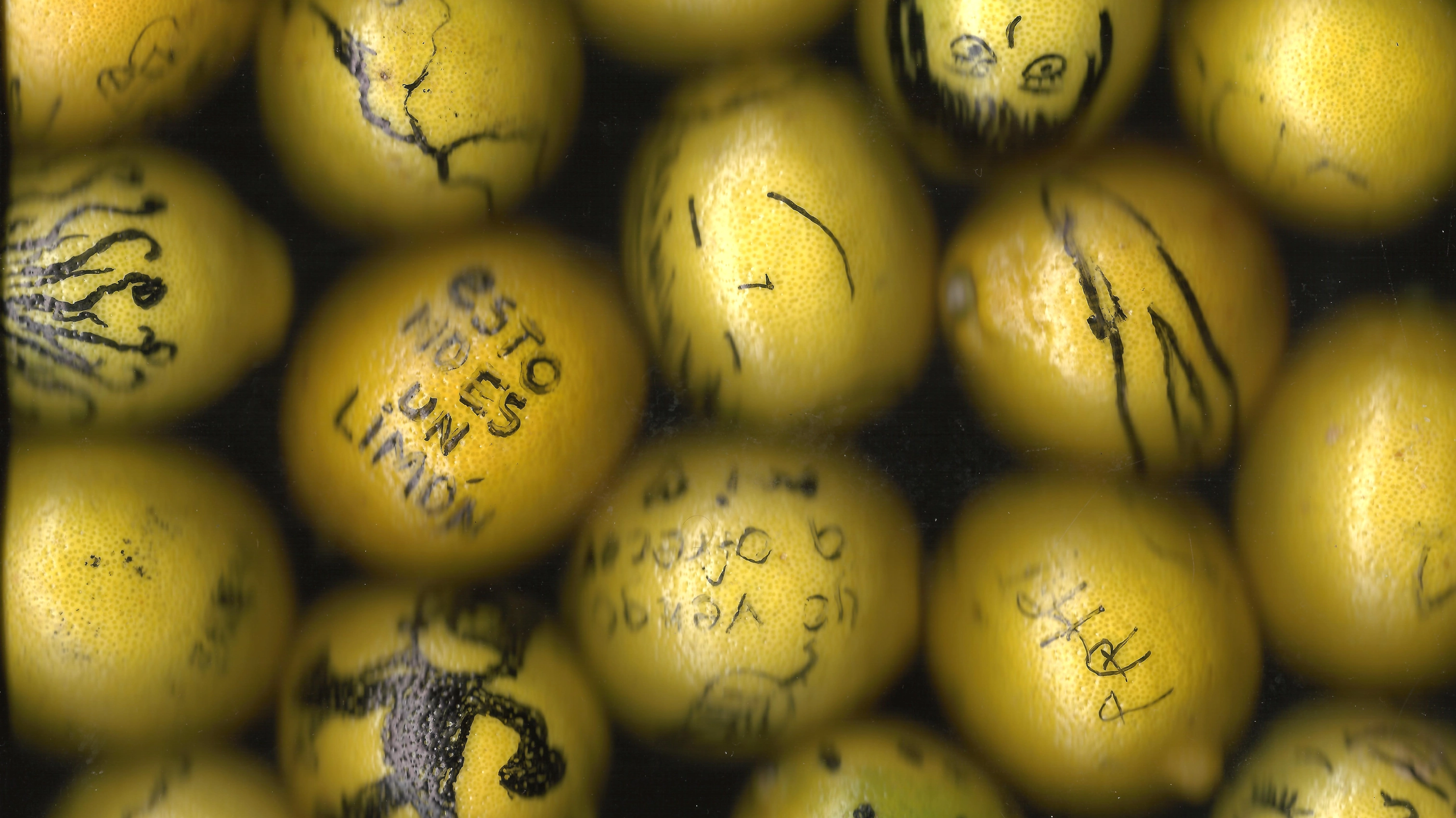 24 limones — 01